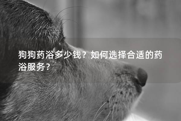 狗狗药浴多少钱？如何选择合适的药浴服务？