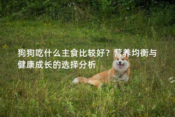 狗狗吃什么主食比较好？营养均衡与健康成长的选择分析