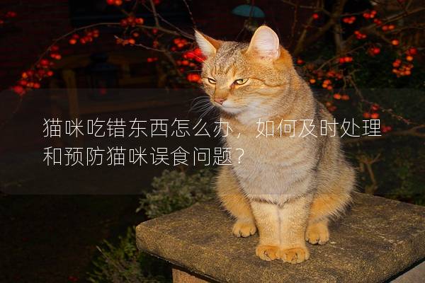 猫咪吃错东西怎么办，如何及时处理和预防猫咪误食问题？