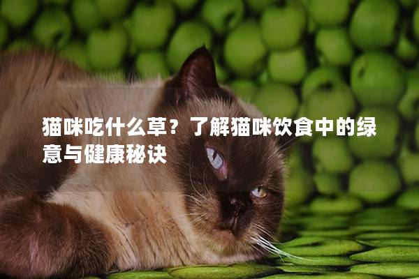 猫咪吃什么草？了解猫咪饮食中的绿意与健康秘诀