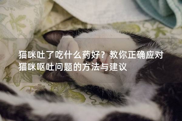 猫咪吐了吃什么药好？教你正确应对猫咪呕吐问题的方法与建议