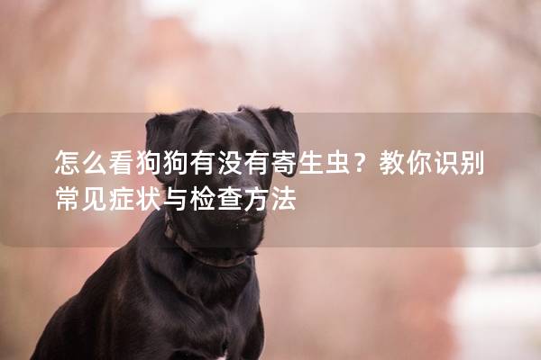 怎么看狗狗有没有寄生虫？教你识别常见症状与检查方法