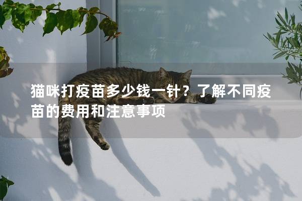 猫咪打疫苗多少钱一针？了解不同疫苗的费用和注意事项