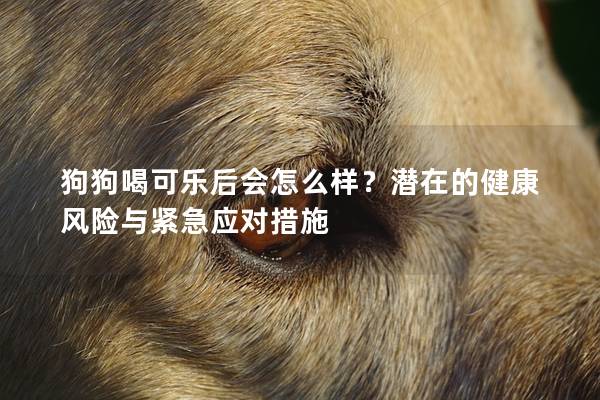 狗狗喝可乐后会怎么样？潜在的健康风险与紧急应对措施