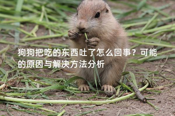狗狗把吃的东西吐了怎么回事？可能的原因与解决方法分析