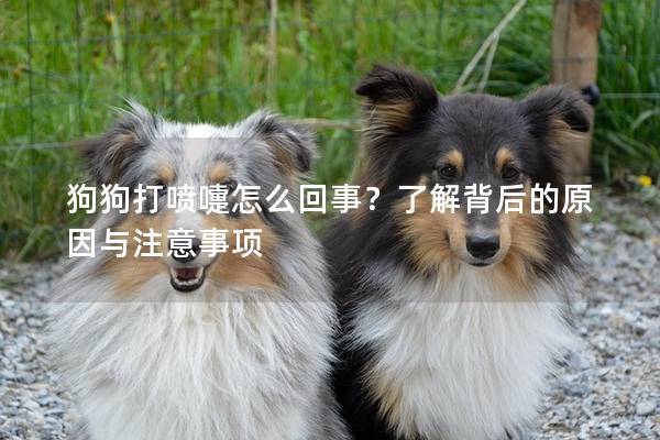 狗狗打喷嚏怎么回事？了解背后的原因与注意事项