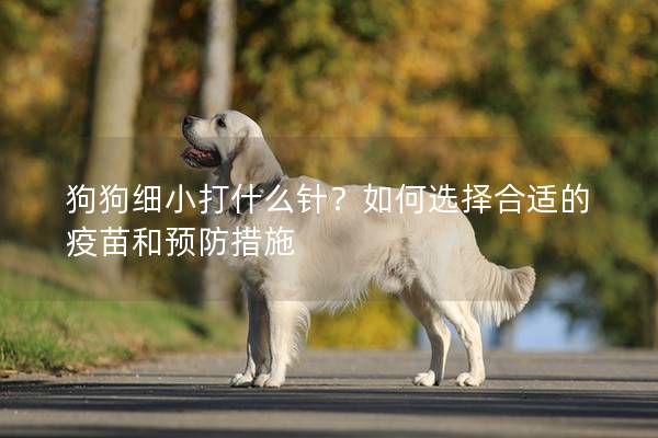 狗狗细小打什么针？如何选择合适的疫苗和预防措施
