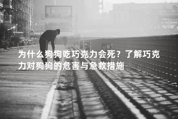 为什么狗狗吃巧克力会死？了解巧克力对狗狗的危害与急救措施
