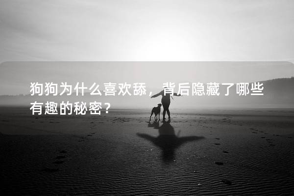 狗狗为什么喜欢舔，背后隐藏了哪些有趣的秘密？