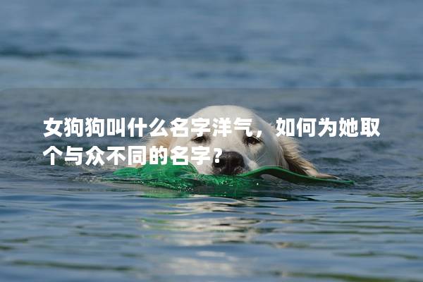 女狗狗叫什么名字洋气，如何为她取个与众不同的名字？