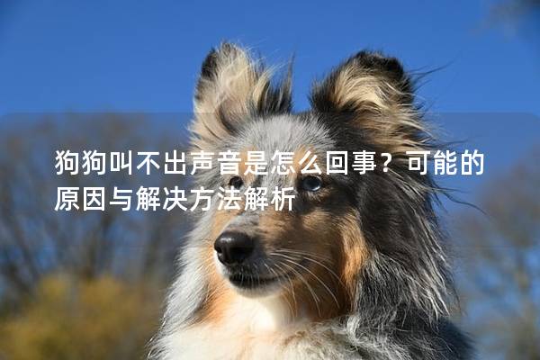 狗狗叫不出声音是怎么回事？可能的原因与解决方法解析