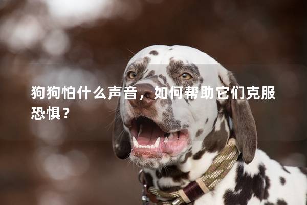 狗狗怕什么声音，如何帮助它们克服恐惧？