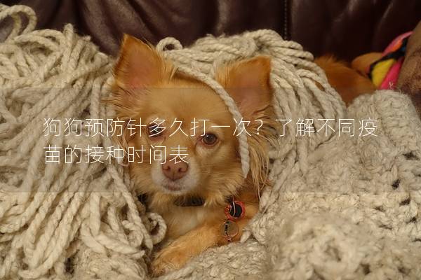 狗狗预防针多久打一次？了解不同疫苗的接种时间表