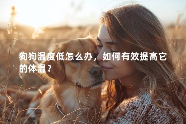 狗狗温度低怎么办，如何有效提高它的体温？