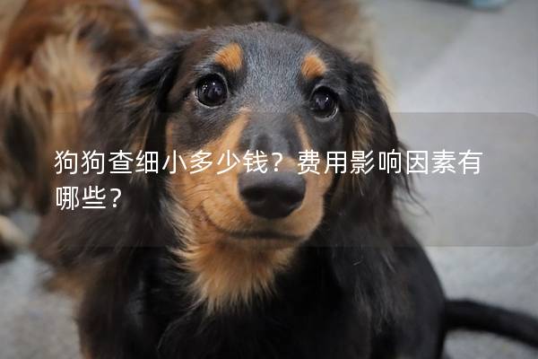 狗狗查细小多少钱？费用影响因素有哪些？