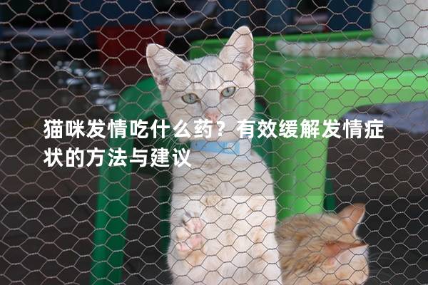猫咪发情吃什么药？有效缓解发情症状的方法与建议
