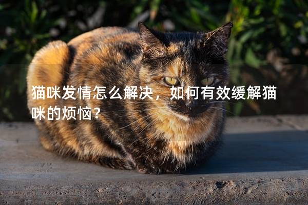 猫咪发情怎么解决，如何有效缓解猫咪的烦恼？