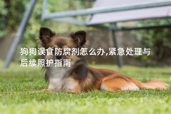 狗狗误食防腐剂怎么办,紧急处理与后续照护指南