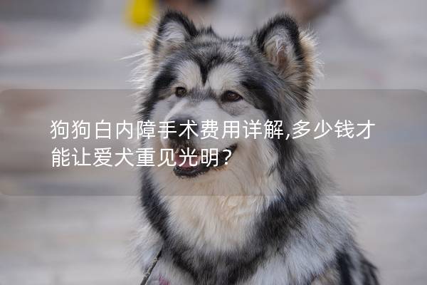 狗狗白内障手术费用详解,多少钱才能让爱犬重见光明？