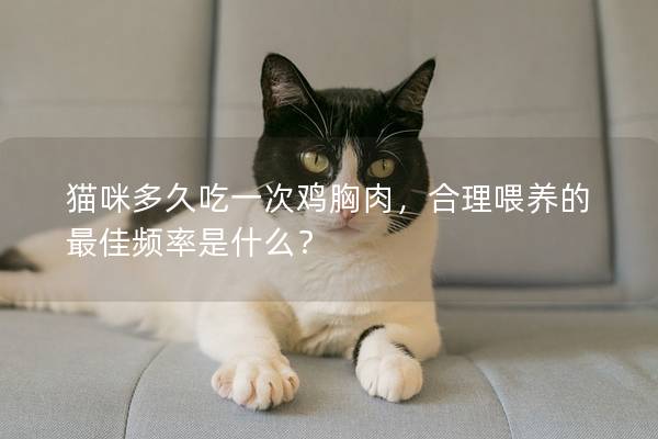 猫咪多久吃一次鸡胸肉，合理喂养的最佳频率是什么？