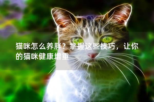 猫咪怎么养胖？掌握这些技巧，让你的猫咪健康增重