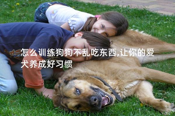 怎么训练狗狗不乱吃东西,让你的爱犬养成好习惯