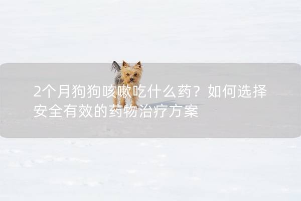 2个月狗狗咳嗽吃什么药？如何选择安全有效的药物治疗方案
