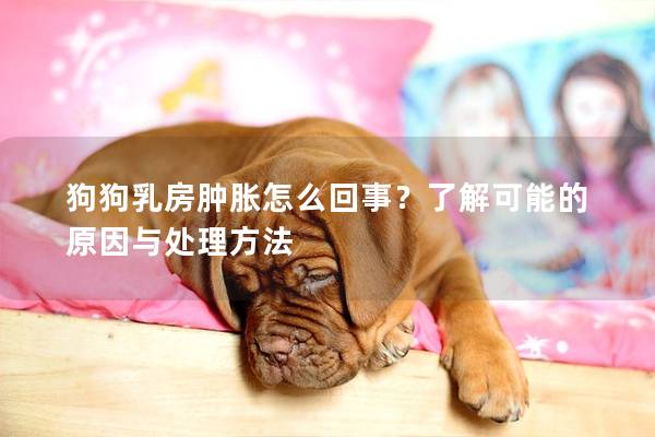 狗狗乳房肿胀怎么回事？了解可能的原因与处理方法