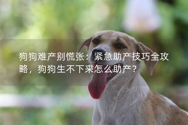 狗狗难产别慌张：紧急助产技巧全攻略，狗狗生不下来怎么助产？