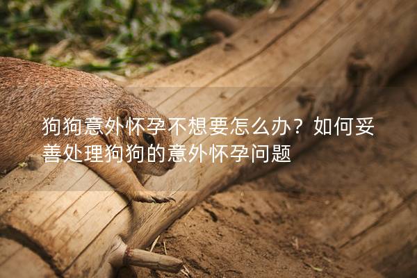 狗狗意外怀孕不想要怎么办？如何妥善处理狗狗的意外怀孕问题