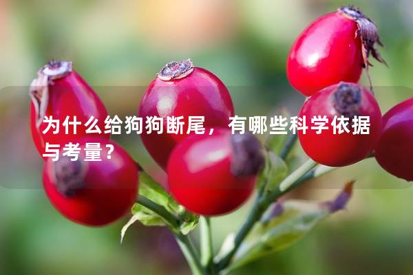 为什么给狗狗断尾，有哪些科学依据与考量？