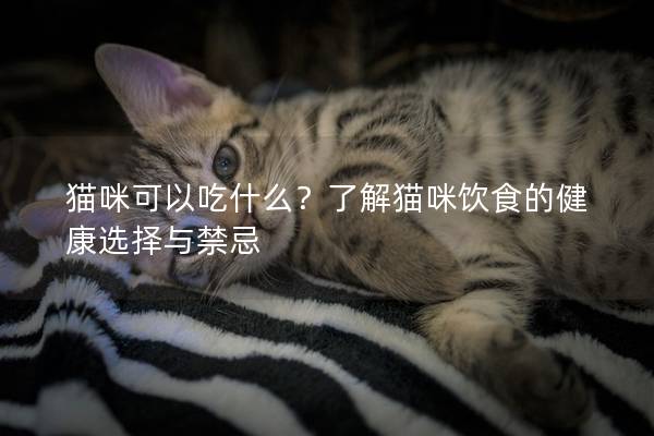 猫咪可以吃什么？了解猫咪饮食的健康选择与禁忌