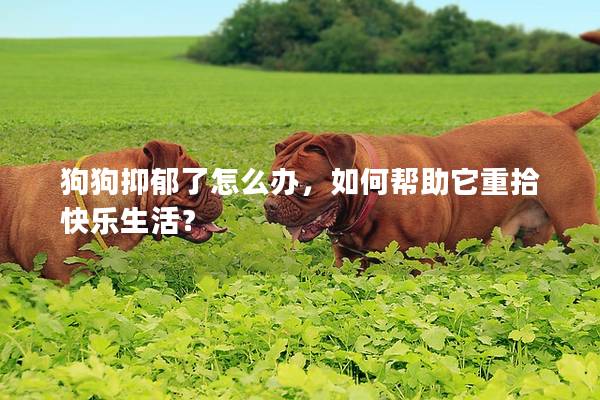 狗狗抑郁了怎么办，如何帮助它重拾快乐生活？