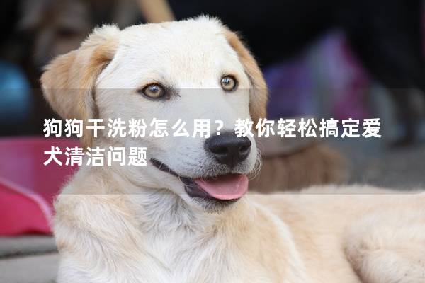 狗狗干洗粉怎么用？教你轻松搞定爱犬清洁问题