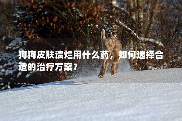 狗狗皮肤溃烂用什么药，如何选择合适的治疗方案？