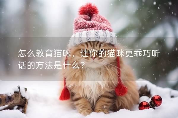 怎么教育猫咪，让你的猫咪更乖巧听话的方法是什么？