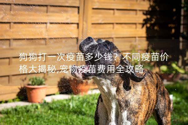 狗狗打一次疫苗多少钱？不同疫苗价格大揭秘,宠物疫苗费用全攻略