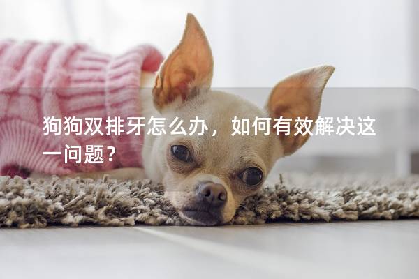 狗狗双排牙怎么办，如何有效解决这一问题？
