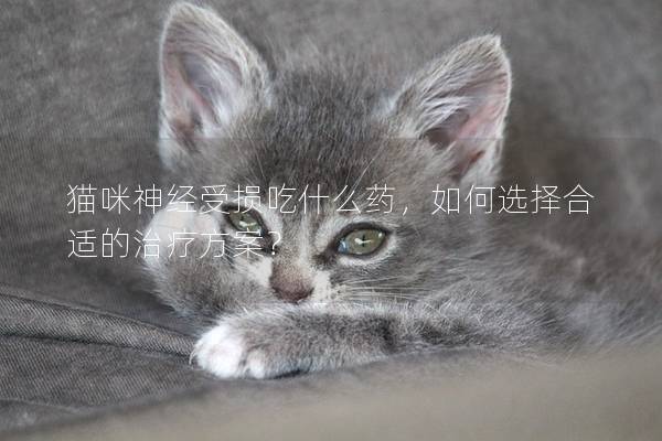 猫咪神经受损吃什么药，如何选择合适的治疗方案？