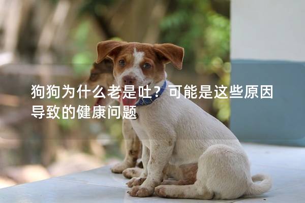 狗狗为什么老是吐？可能是这些原因导致的健康问题