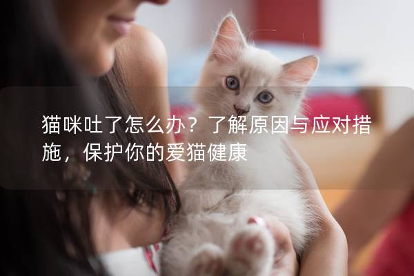 猫咪吐了怎么办？了解原因与应对措施，保护你的爱猫健康