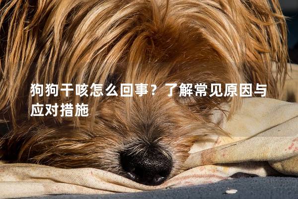 狗狗干咳怎么回事？了解常见原因与应对措施