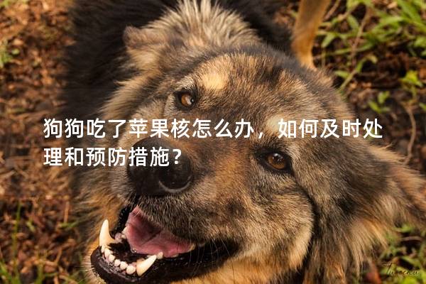 狗狗吃了苹果核怎么办，如何及时处理和预防措施？