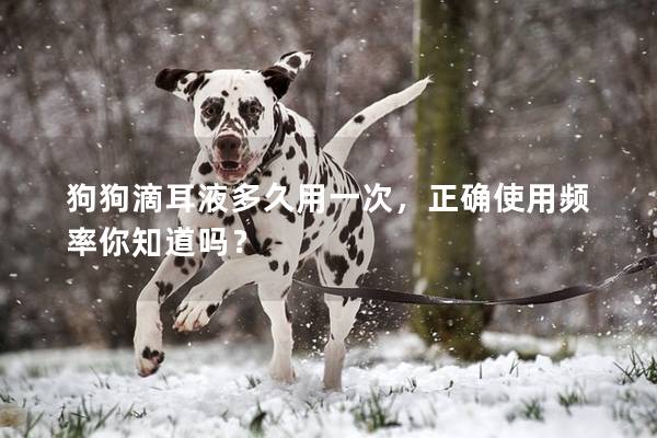 狗狗滴耳液多久用一次，正确使用频率你知道吗？