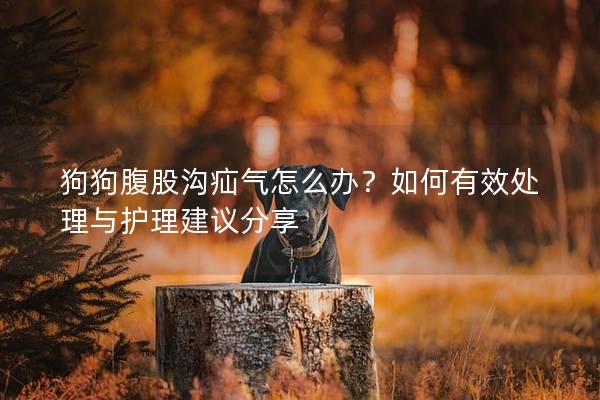 狗狗腹股沟疝气怎么办？如何有效处理与护理建议分享