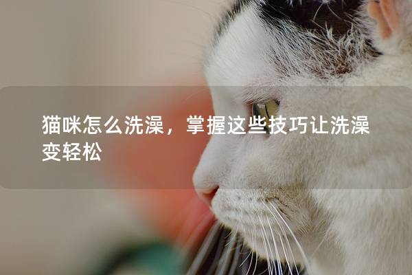 猫咪怎么洗澡，掌握这些技巧让洗澡变轻松