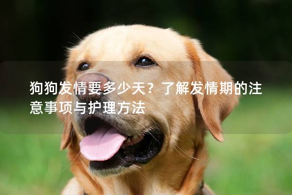 狗狗发情要多少天？了解发情期的注意事项与护理方法