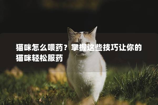 猫咪怎么喂药？掌握这些技巧让你的猫咪轻松服药