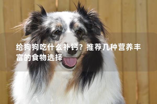 给狗狗吃什么补钙？推荐几种营养丰富的食物选择
