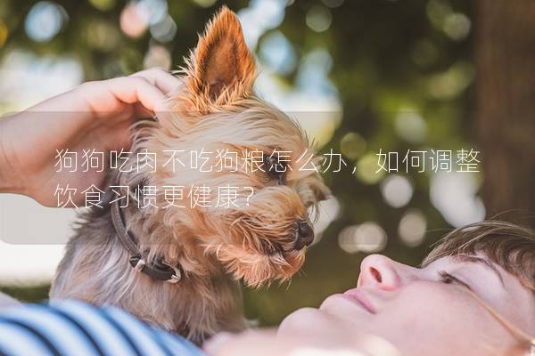 狗狗吃肉不吃狗粮怎么办，如何调整饮食习惯更健康？